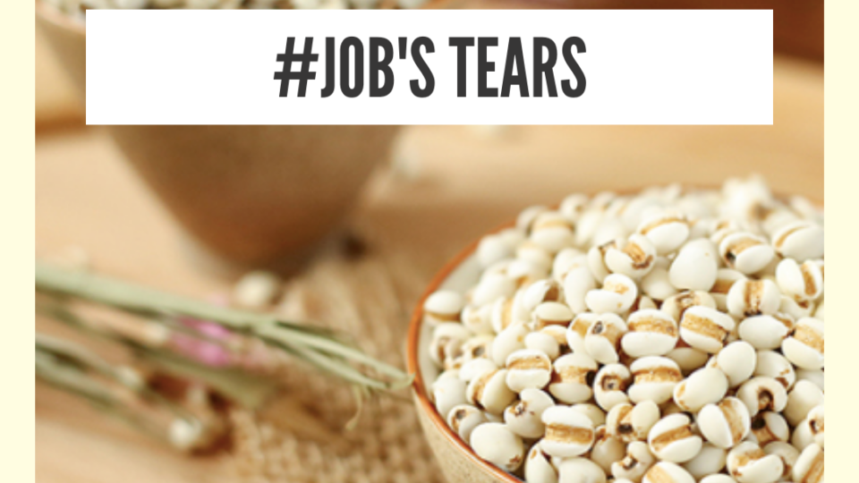 Job’s tears