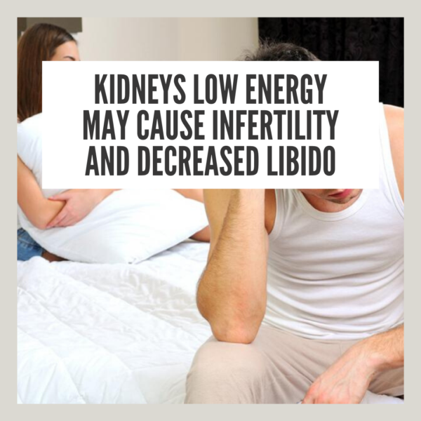 Kidneys low energy may cause infertility and decreased libido