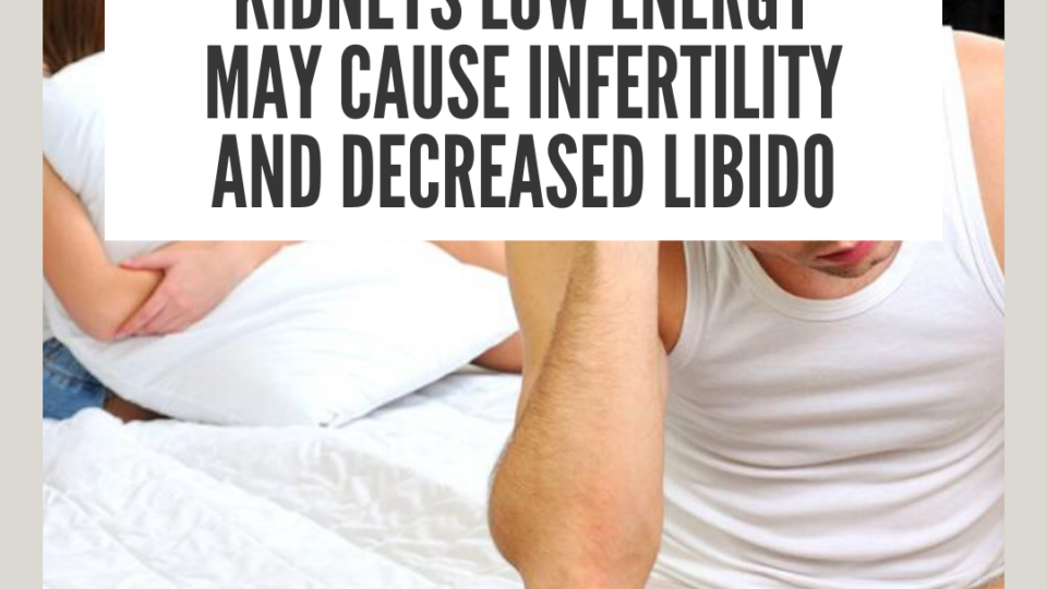 Kidneys low energy may cause infertility and decreased libido