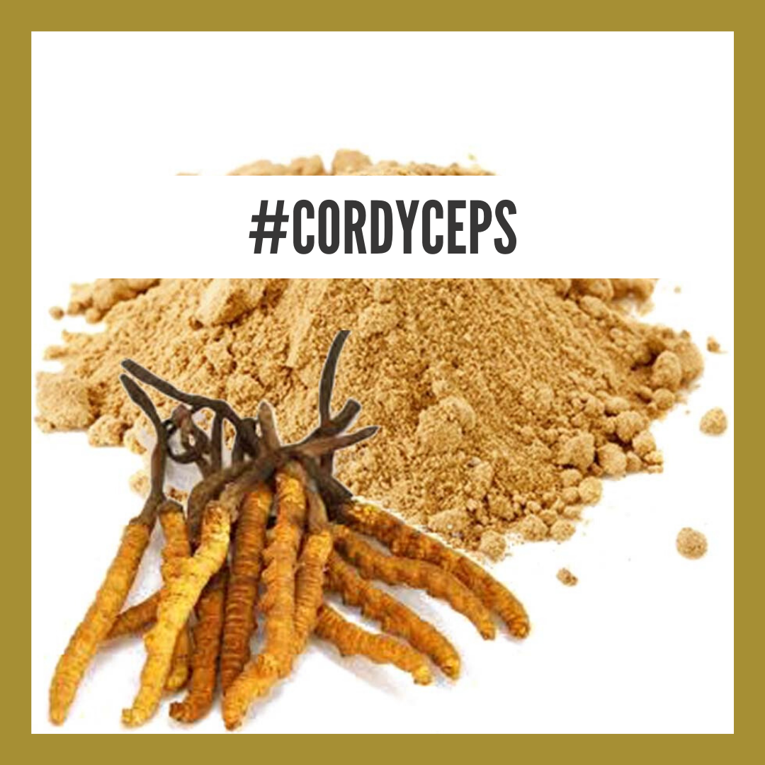 Cordyceps - natural remedy for low libido | ShittyHealth