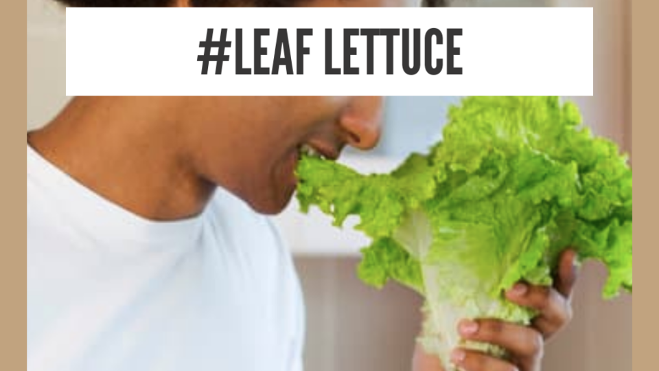 Health Benefits Of Leaf Lettuce