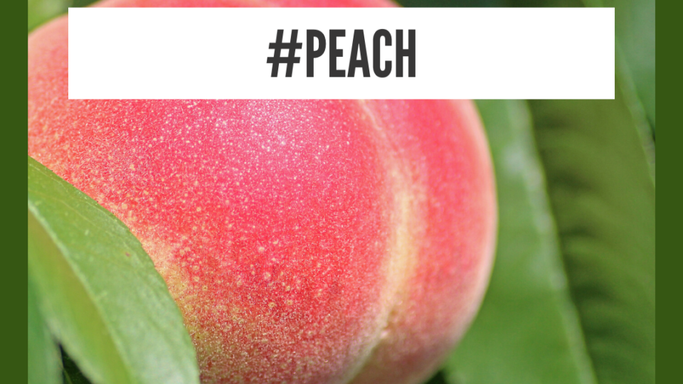 Health Benefits Of Peach