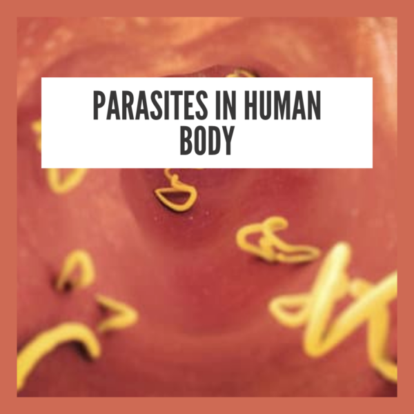 Parasites in human body